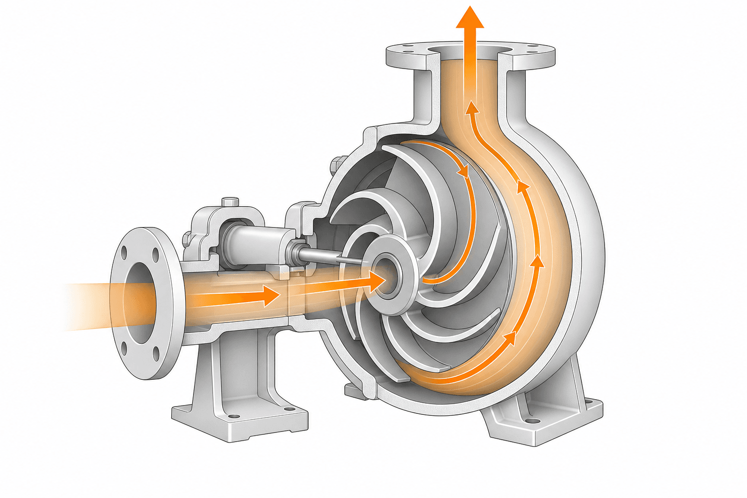 Cutaway diagram of centrifugal pump showing impeller rotation and fluid path