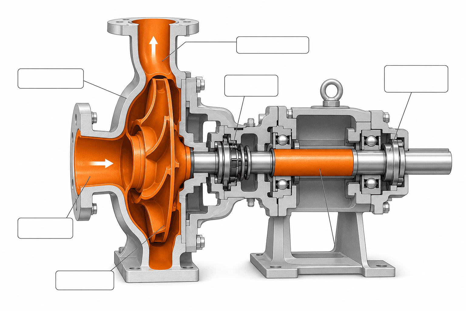Cross-section of centrifugal pump with wetted parts highlighted in orange