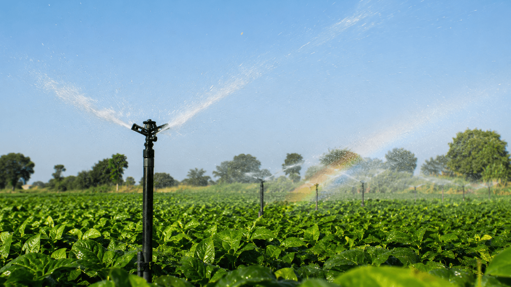 Sprinkler and fertigation systems